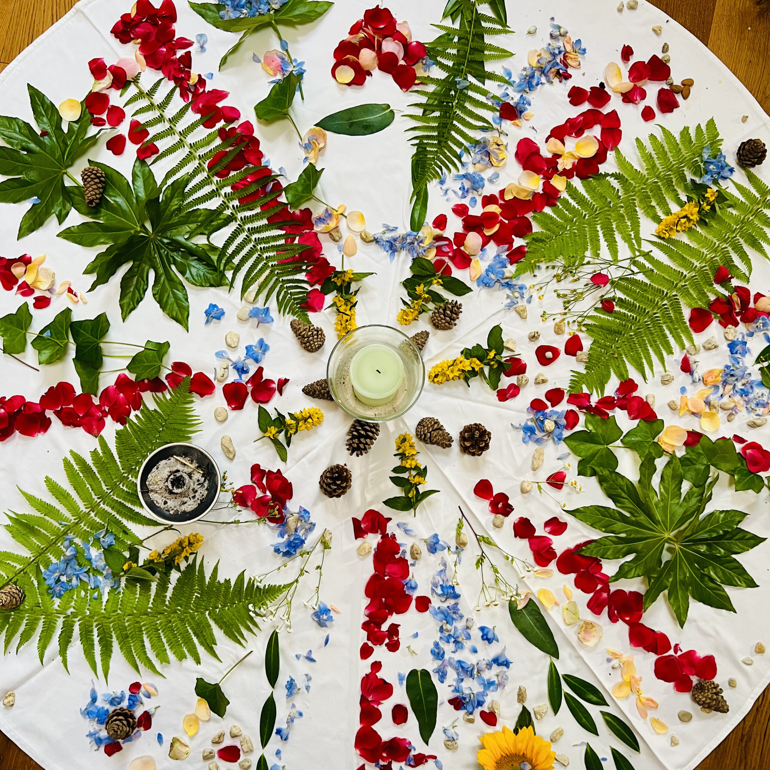 Jahreskreis Seminar – Vision, Rhythmus & Heilkunde