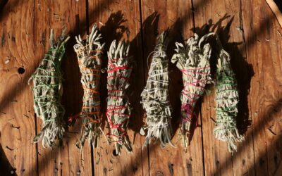 🌿 Anleitung: Kräuterbündel selbst herstellen