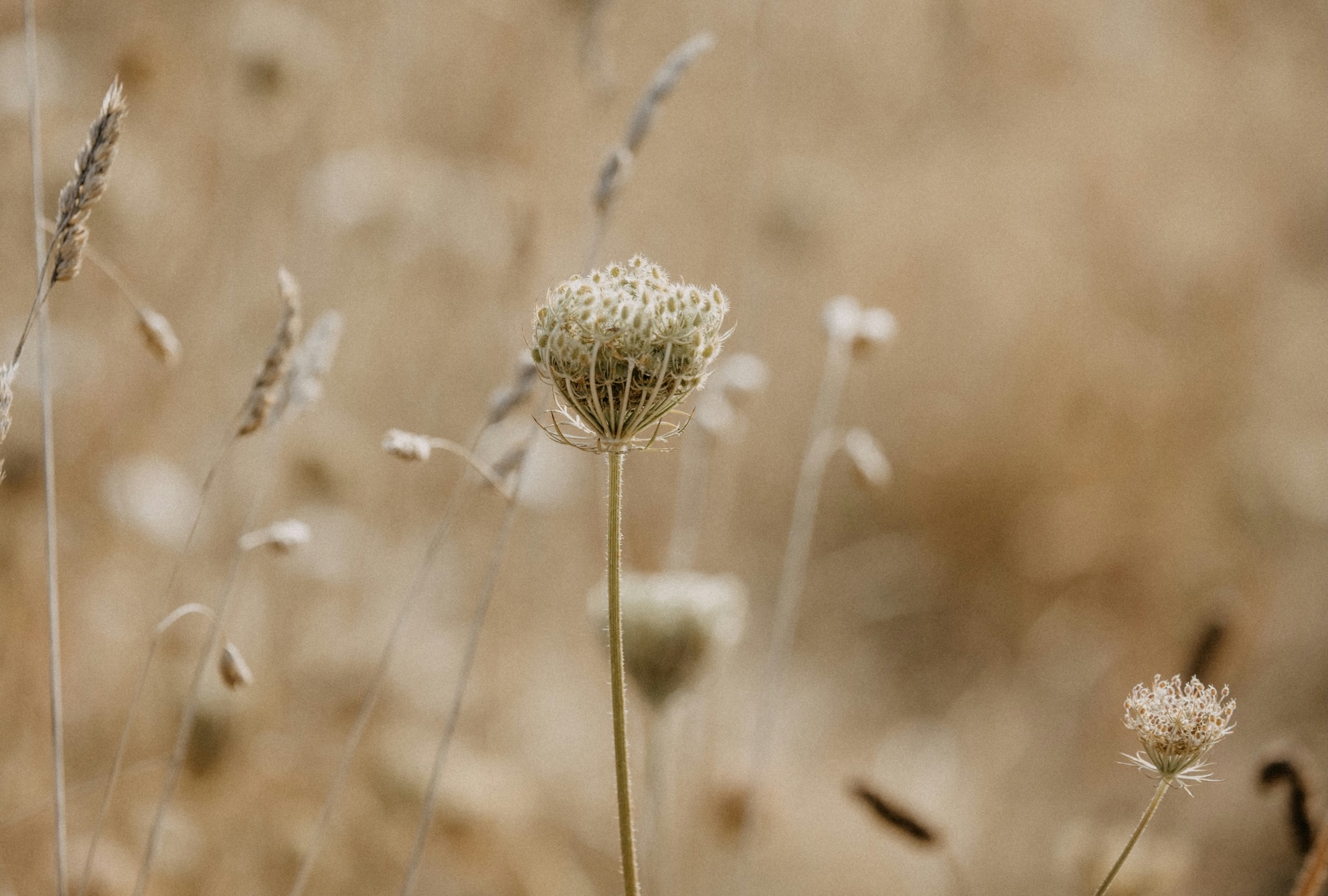 Soll ich meine Hormone testen lassen? Und falls Ja – wie?